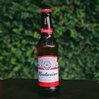 Budweiser Long Neck